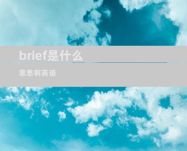 brief是什么意思啊英语