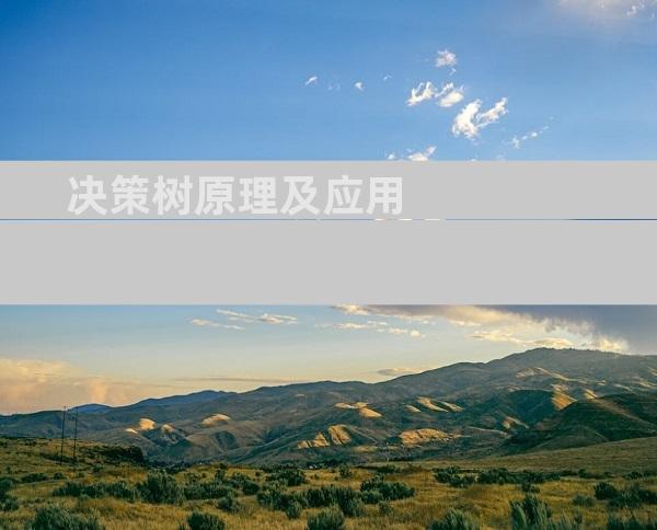 决策树原理及应用