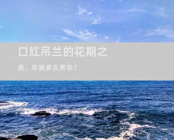 口红吊兰的花期之美，尽展多久芳华？